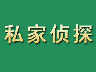 墉桥市私家正规侦探